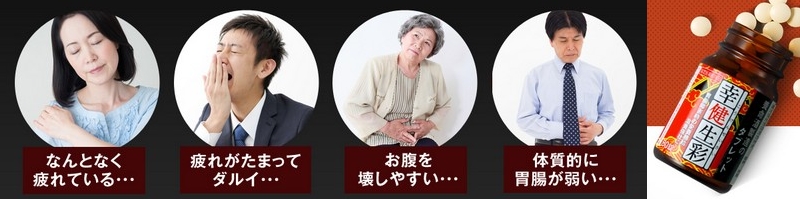 �Ȃ�ƂȂ��ݒ��̒��q���������₷�����C���Ȃ��{���𐻑����{�C�ŊJ���I���T�C�g